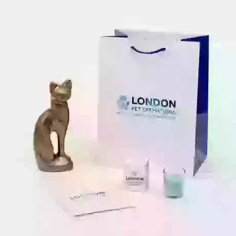 Graceful sitting Cat